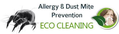 Organic Cleaning 