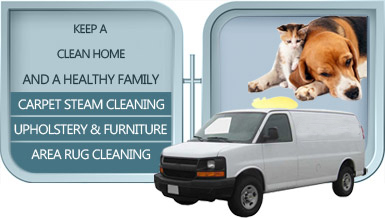 Pet Stain Removal